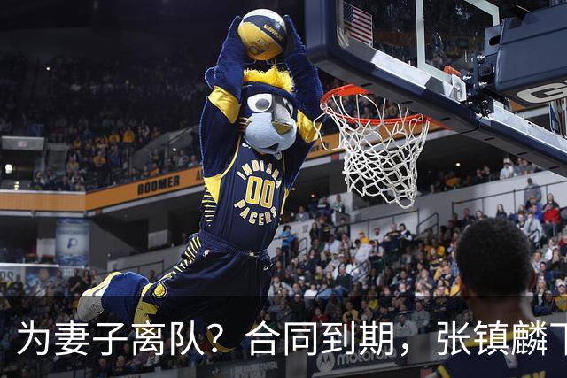 为妻子离队？合同到期，张镇麟下家4选1，广东2队有机会